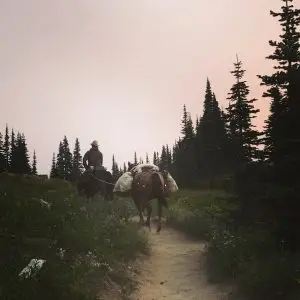 d932502d-c28e-499b-8540-20406a425eb3